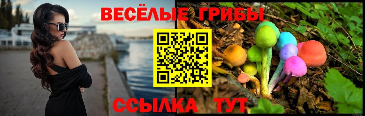 Псилоцибиновые грибы Magic Shrooms Тулун